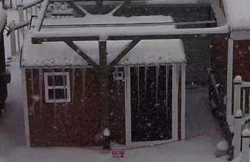 Screen Shot 2021-02-01 at 11.05.10 AM.png